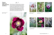Buchcover und Innenansicht für das Buch: Grün in allen Farben