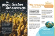 Buchcover und Innenansicht für das Buch: WAS IST WAS Korallenriff. Mitten im Gewusel