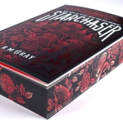 Buchcover und Innenansicht für das Buch: Starchaser (The Nightweaver Series, #2)