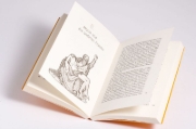 Buchcover und Innenansicht für das Buch: Auferstanden, oder?