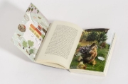 Buchcover und Innenansicht für das Buch: Gekommen, um zu bleiben