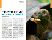 Buchcover und Innenansicht für das Buch: Lonely Planet Ecuador & the Galapagos Islands