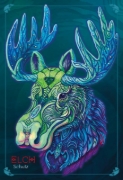 Buchcover und Innenansicht für das Buch: Echoes of the Wild Souls - Krafttiere aus den slawischen Wäldern und nordischen Weiten (Orakelkarten - Krafttierkarten)