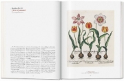 Buchcover und Innenansicht für das Buch: A Garden Eden. Masterpieces of Botanical Illustration