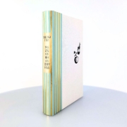 Buchcover und Innenansicht für das Buch: Was man von hier aus sehen kann