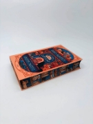 Buchcover und Innenansicht für das Buch: Agnes Aubert's Mystical Cat Shelter