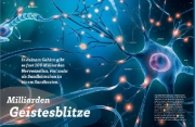 Buchcover und Innenansicht für das Buch: WAS IST WAS Dein Körper. Was alles in dir steckt