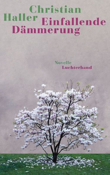 Buchcover und Innenansicht für das Buch: Einfallende Dämmerung