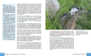 Buchcover und Innenansicht für das Buch: Panasonic LUMIX DC-S5II / DC-S5II¿X: Das umfangreiche Praxisbuch zu Ihrer Kamera
