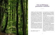 Buchcover und Innenansicht für das Buch: Waldyoga an Orten der Kraft