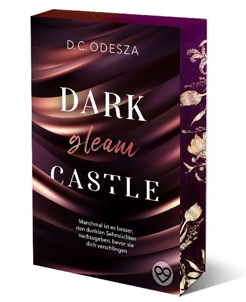 Buchcover und Innenansicht für das Buch: DARK gleam CASTLE 01