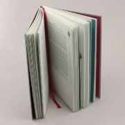 Buchcover und Innenansicht für das Buch: Ich schreibe mich gesund