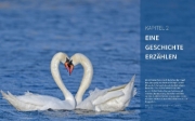 Buchcover und Innenansicht für das Buch: Vögel fotografieren