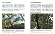 Buchcover und Innenansicht für das Buch: Vögel fotografieren