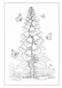 Buchcover und Innenansicht für das Buch: Blumen Malbuch für Erwachsene mit 50 schönen Ausmalmotiven