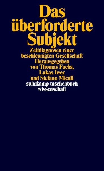 Buchcover und Innenansicht für das Buch: Das überforderte Subjekt