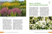 Buchcover und Innenansicht für das Buch: Die schönsten Pflanzen für Bienen und Hummeln. Für Garten, Balkon & Terrasse