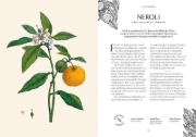 Buchcover und Innenansicht für das Buch: Duft
