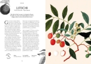 Buchcover und Innenansicht für das Buch: Duft
