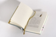 Buchcover und Innenansicht für das Buch: Das Jahr der Wunder