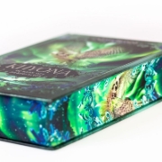 Buchcover und Innenansicht für das Buch: Khyona (1). Im Bann des Silberfalken