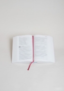 Buchcover und Innenansicht für das Buch: Volxbibel - next level
