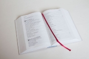 Buchcover und Innenansicht für das Buch: Volxbibel - next level