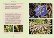 Buchcover und Innenansicht für das Buch: Gartenbotanik