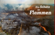 Buchcover und Innenansicht für das Buch: WAS IST WAS Regenwald. Wilde grüne Welt