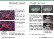 Buchcover und Innenansicht für das Buch: Nikon D500 - Für bessere Fotos von Anfang an