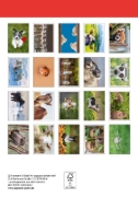 Buchcover und Innenansicht für das Buch: Postkartenblock Lustige Tiere