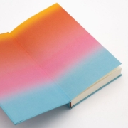 Buchcover und Innenansicht für das Buch: Having spent life seeking