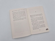 Buchcover und Innenansicht für das Buch: 101 Schlawiner