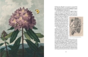 Buchcover und Innenansicht für das Buch: Atlas der tödlichen Pflanzen