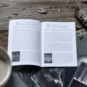 Buchcover und Innenansicht für das Buch: Orakelkarten: Erdenkind