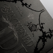 Buchcover und Innenansicht für das Buch: The Blackened Blade