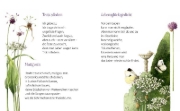 Buchcover und Innenansicht für das Buch: Hallo Leben, du bist so schön!