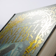 Buchcover und Innenansicht für das Buch: I den mørke skov (Eventyrsagaerne 1)