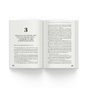 Buchcover und Innenansicht für das Buch: Bewusst erfolgreich