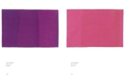 Buchcover und Innenansicht für das Buch: Anne Truitt