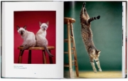 Buchcover und Innenansicht für das Buch: Walter Chandoha. Cats. Photographs 1942-2018