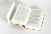 Buchcover und Innenansicht für das Buch: Crashtest Dummies