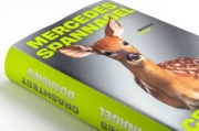 Buchcover und Innenansicht für das Buch: Crashtest Dummies