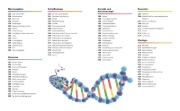 Buchcover und Innenansicht für das Buch: Visuelles Wissen. Biologie