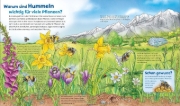 Buchcover und Innenansicht für das Buch: WAS IST WAS Junior Band 34 Bienen, Wespen, Hummeln