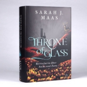 Buchcover und Innenansicht für das Buch: Kingdom of Ash