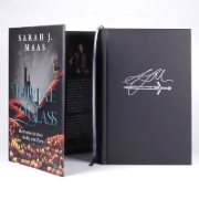 Buchcover und Innenansicht für das Buch: Kingdom of Ash