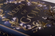 Buchcover und Innenansicht für das Buch: Reign of Gods - Verflucht