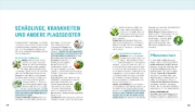 Buchcover und Innenansicht für das Buch: Balkongärtnern