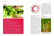 Buchcover und Innenansicht für das Buch: Handbuch Bio-Obst